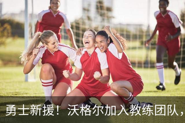 勇士新援！沃格尔加入教练团队，开启新篇章